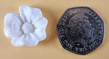 20 x Edible 3D 20mm flower flowers icing toppers, cake cupcakes decorations T019