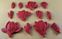 12 x Edible 3D 50mm Tulip Lilly flowers Set, icing toppers, cake cupcakes decorations T076