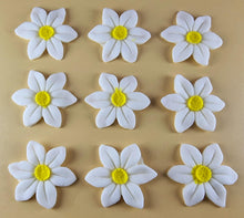 9 x Edible 3D 40mm Wild daffodil Flowers icing toppers, cake cupcakes T121