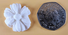 20 x Edible 3D 25mm daisies daisy flowers icing toppers, cake cupcakes decorations T014