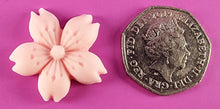 9 x Edible 3D 30mm Cherry Blossoms icing toppers, cake cupcakes decorations T053