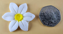 9 x Edible 3D 40mm Wild daffodil Flowers icing toppers, cake cupcakes T121