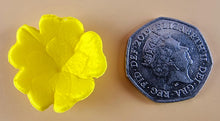 20 x Edible 3D 30mm Primula Primrose Flowers, icing toppers, cake cupcakes decorations T068