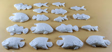 18 x Edible 3D 40mm Fish Set, icing toppers, cake cupcakes decorations T073