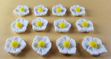 12 x Edible 3D 20mm flowers icing toppers, cake cupcakes decorations T105
