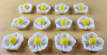 12 x Edible 3D 20mm flowers icing toppers, cake cupcakes decorations T105
