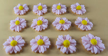 12 x Edible 3D 15mm Daisies Daisy flowers icing toppers, cake cupcakes T114