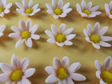 15 x Edible 3D Daisy Flowers Daisies icing toppers, cake cupcakes decorations T099