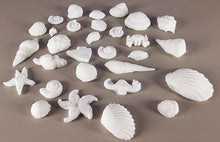30 x Edible 3D seashells shells shells icing toppers, cake cupcakes decorations T007