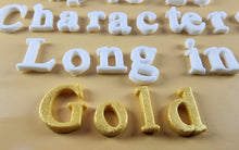 25 x Edible 3D Personalized Times New Roman Font, icing toppers, cake cupcakes decorations T083