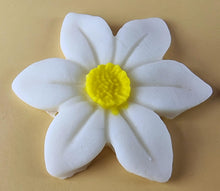 9 x Edible 3D 40mm Wild daffodil Flowers icing toppers, cake cupcakes T121