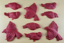 9 x Edible 3D 60mm Large Birds set icing toppers, cake cupcakes decorations T110