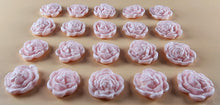 20 x Edible 3D 20mm flower flowers icing toppers, cake cupcakes decorations T029