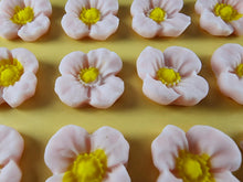 12 x Edible 3D 20mm flowers icing toppers, cake cupcakes decorations T106
