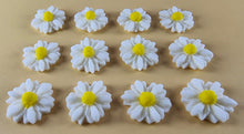 12 x Edible 3D 15mm Daisies Daisy flowers icing toppers, cake cupcakes T114