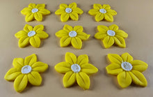 9 x Edible 3D 40mm Wild daffodil Flowers icing toppers, cake cupcakes T121