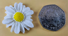 12 x Edible 3D 30mm Daisies Daisy flowers icing toppers, cake cupcakes T117