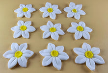 9 x Edible 3D 40mm Wild daffodil Flowers icing toppers, cake cupcakes T121
