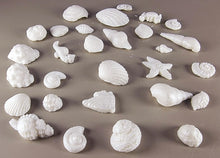 30 x Edible 3D seashells shells shells icing toppers, cake cupcakes decorations T007