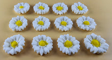 12 x Edible 3D 22mm flowers icing toppers, cake cupcakes decorations T104