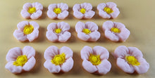 12 x Edible 3D 20mm flowers icing toppers, cake cupcakes decorations T106