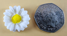 12 x Edible 3D 22mm flowers icing toppers, cake cupcakes decorations T104
