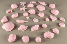 30 x Edible 3D seashells shells shells icing toppers, cake cupcakes decorations T007