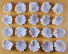 20 x Edible 3D 30mm Primula Primrose Flowers, icing toppers, cake cupcakes decorations T068