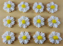 12 x Edible 3D 15mm Daisies Daisy flowers icing toppers, cake cupcakes T114