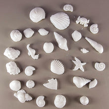 30 x Edible 3D seashells shells shells icing toppers, cake cupcakes decorations T007