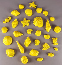 30 x Edible 3D seashells shells shells icing toppers, cake cupcakes decorations T007
