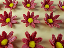 15 x Edible 3D Daisy Flowers Daisies icing toppers, cake cupcakes decorations T099