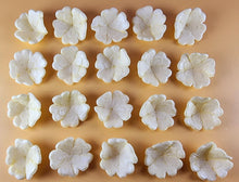 20 x Edible 3D 30mm Primula Primrose Flowers, icing toppers, cake cupcakes decorations T068