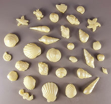 30 x Edible 3D seashells shells shells icing toppers, cake cupcakes decorations T007