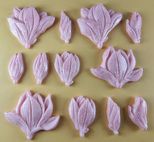 12 x Edible 3D 50mm Tulip Lilly flowers Set, icing toppers, cake cupcakes decorations T076