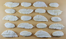 20 x Edible 3D 50mm Feather Set, icing toppers, cake cupcakes decorations T075