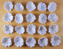 20 x Edible 3D 30mm Primula Primrose Flowers, icing toppers, cake cupcakes decorations T068