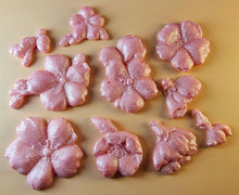 10 x Edible 3D 50mm Cherry Blossom Flowers icing toppers, cake cupcakes decorations T056