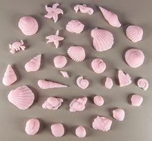 30 x Edible 3D seashells shells shells icing toppers, cake cupcakes decorations T007