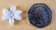 20 x Edible 3D 20mm flower flowers icing toppers, cake cupcakes decorations T034