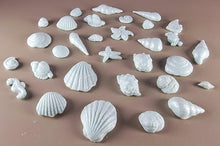 30 x Edible 3D seashells shells shells icing toppers, cake cupcakes decorations T007