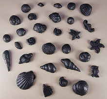 30 x Edible 3D seashells shells shells icing toppers, cake cupcakes decorations T007