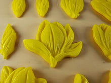 12 x Edible 3D 50mm Tulip Lilly flowers Set, icing toppers, cake cupcakes decorations T076