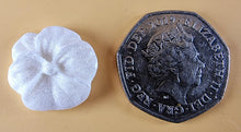 20 x Edible 3D 20mm flower flowers icing toppers, cake cupcakes decorations T028