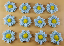 12 x Edible 3D 30mm Daisies Daisy flowers icing toppers, cake cupcakes T117
