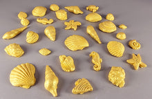 30 x Edible 3D seashells shells shells icing toppers, cake cupcakes decorations T007