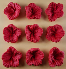 9 x Edible 3D 38mm Hibiscus flower flowers, icing toppers, cake cupcakes decorations T035