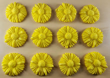 12 x Edible 3D 35mm Daisies, Daisy Flowers, icing toppers, cake cupcakes decorations T081