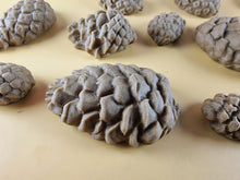 15 x Edible 3D Pinecone Set, icing, cupcake, cake, toppers T145