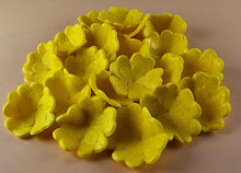 20 x Edible 3D 30mm Primula Primrose Flowers, icing toppers, cake cupcakes decorations T068
